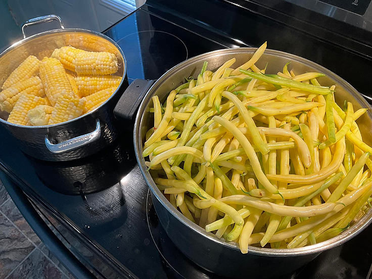 Bouilli de Légumes et viande