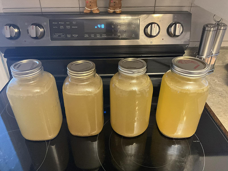 Recette de Bouillon de dinde
