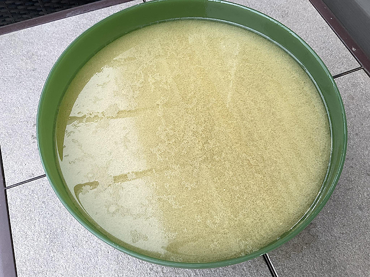 Bouillon de dinde