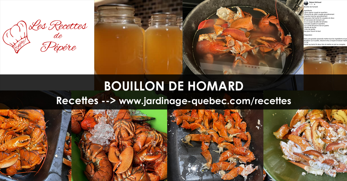 Recettes de Bouillon de homard