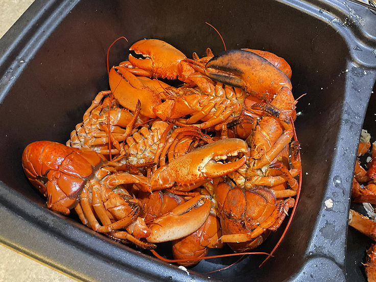 Bouillon de homard