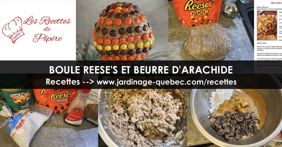 Boule Reese's et beurre d'arachide