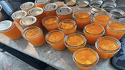 Confiture à la citrouille et ananas