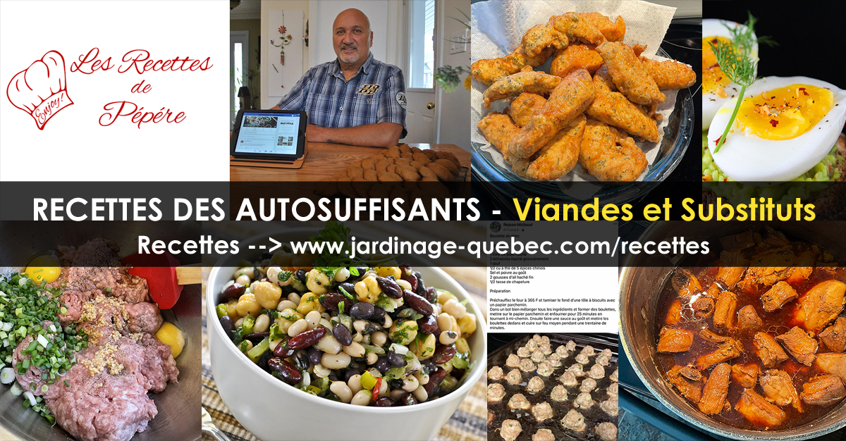 Viandes et substituts