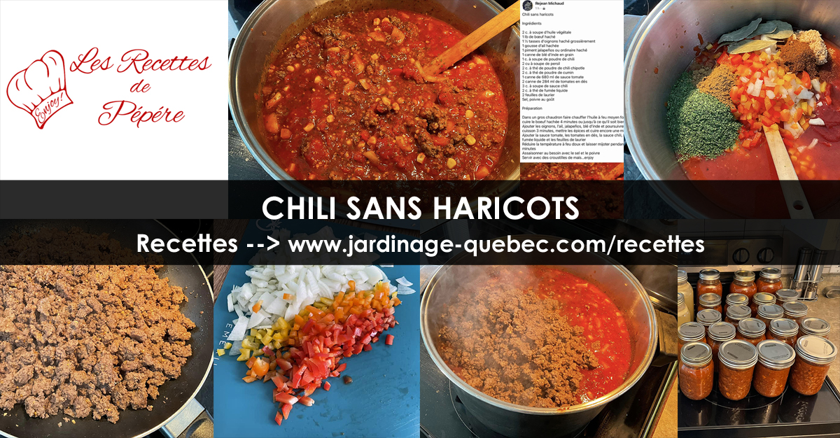 Chili sans Haricots