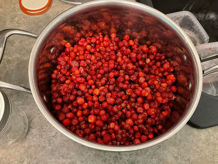 Recette de Confitures aux fraises des champs