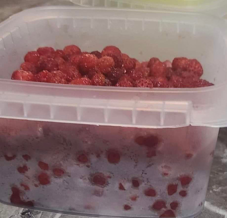 Confitures aux fraises des champs