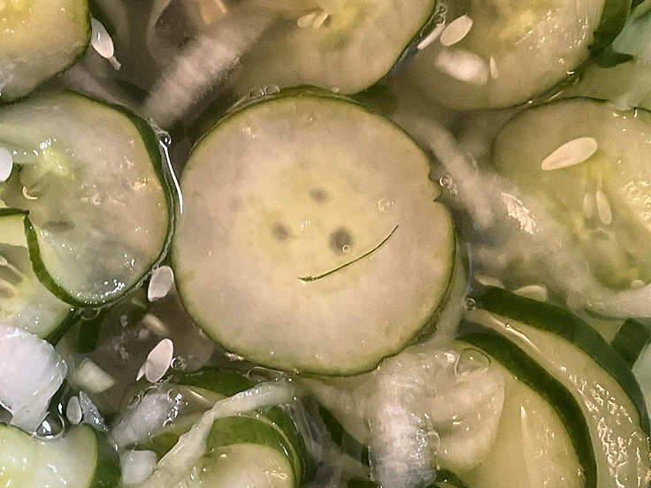 Recette de Cornichons congelés