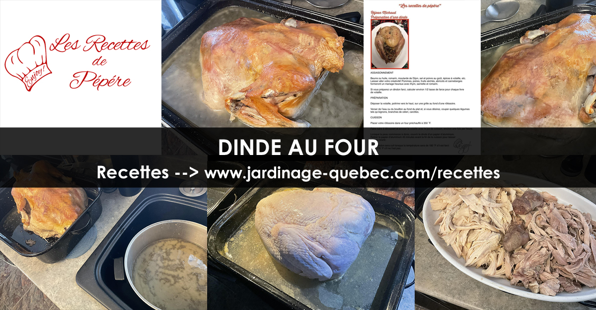 Dinde au four