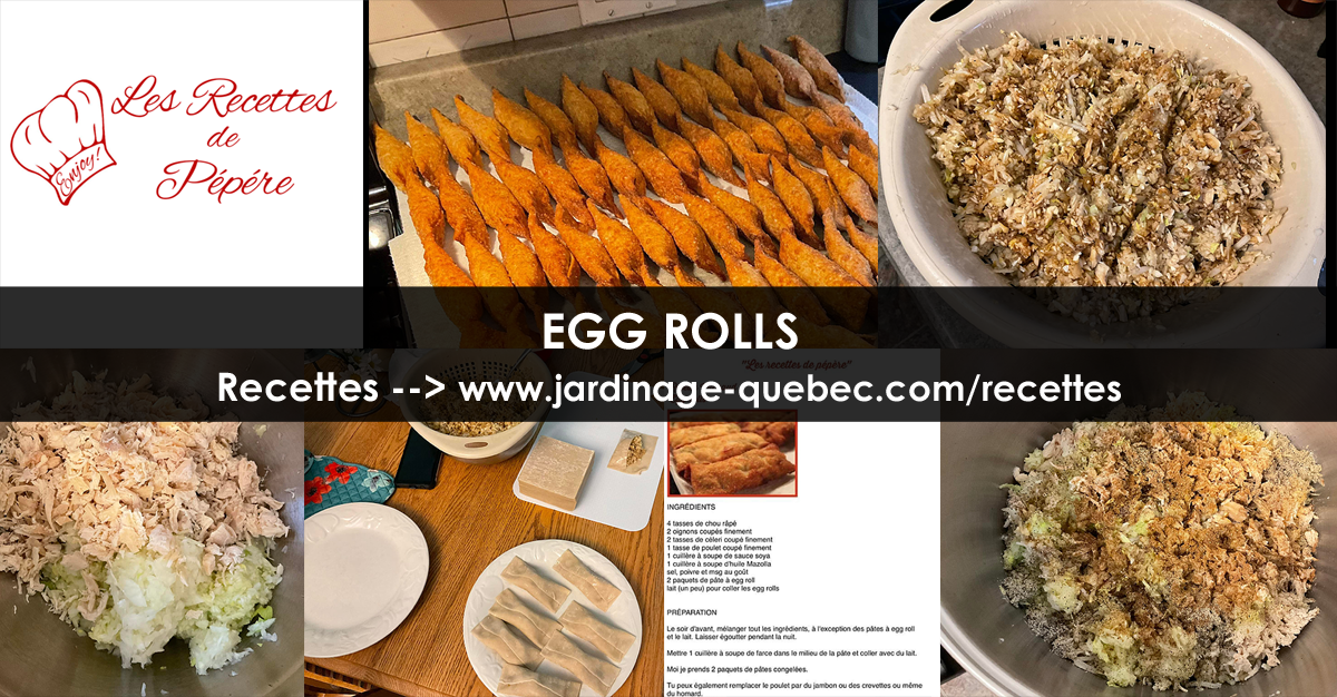 Egg rolls