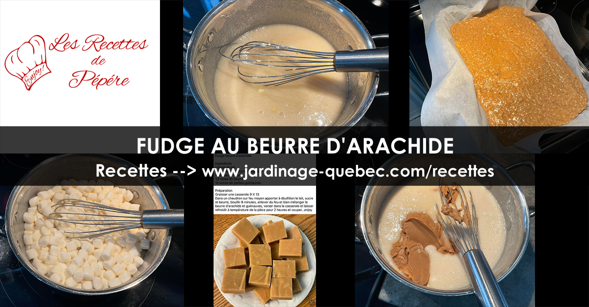Fudge au beurre d'arachide