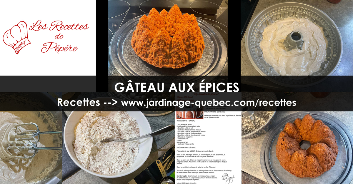 Gâteau aux épices