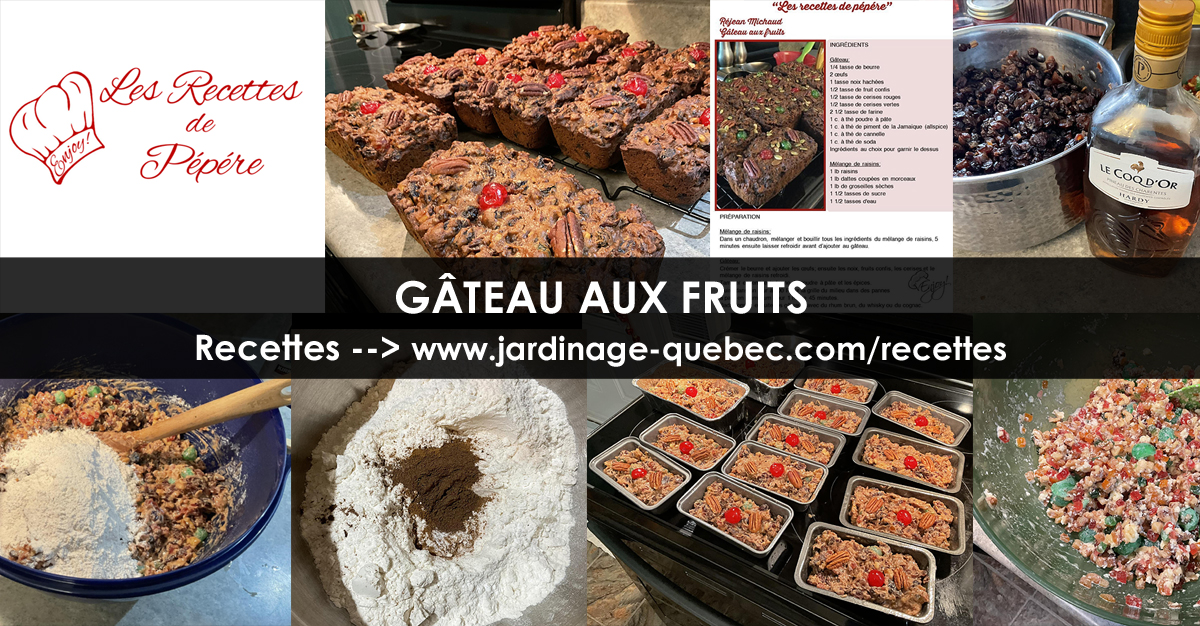 Gâteau aux fruits