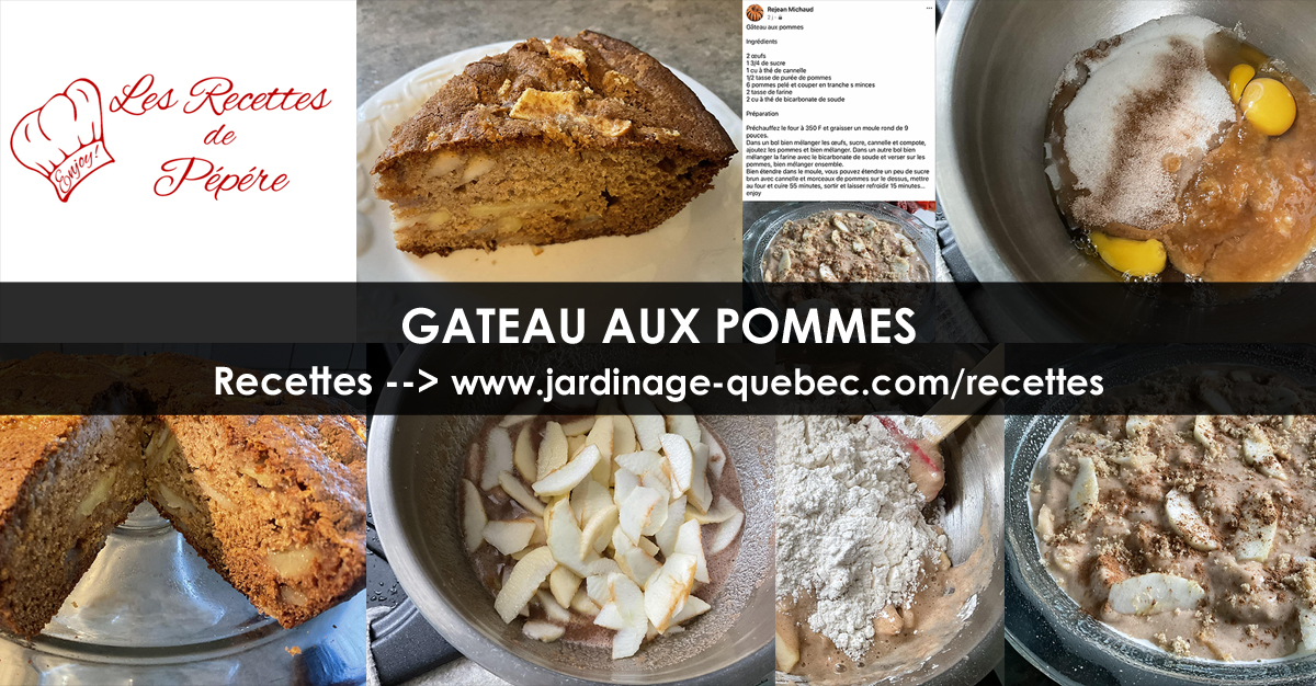 Gâteau aux Pommes