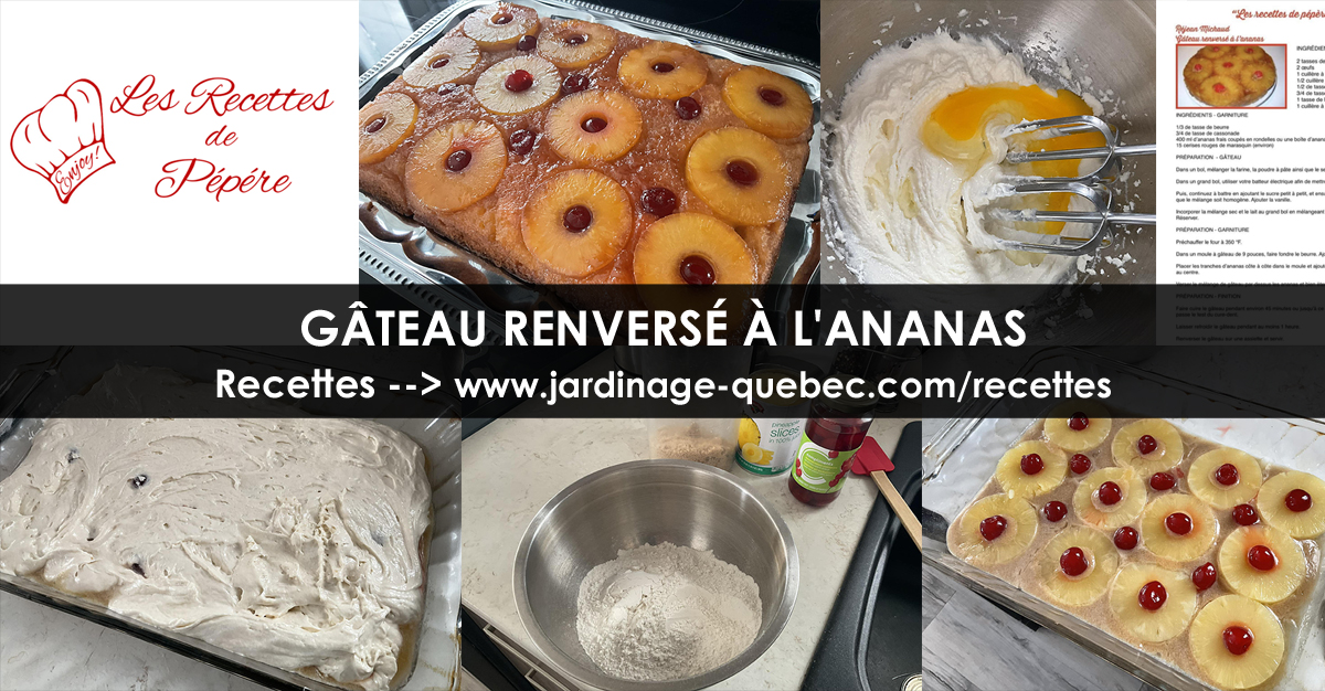 Gâteau renversé à l'ananas