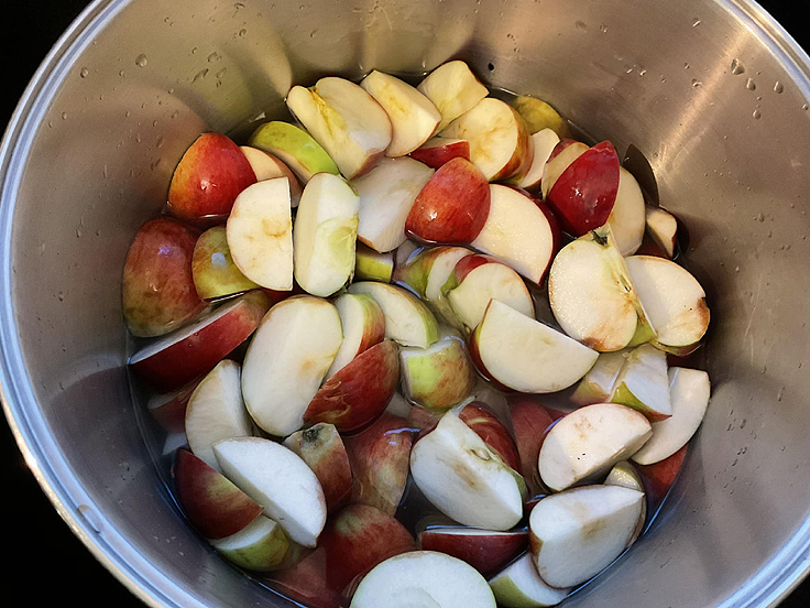 Recette de Gelée aux pommes