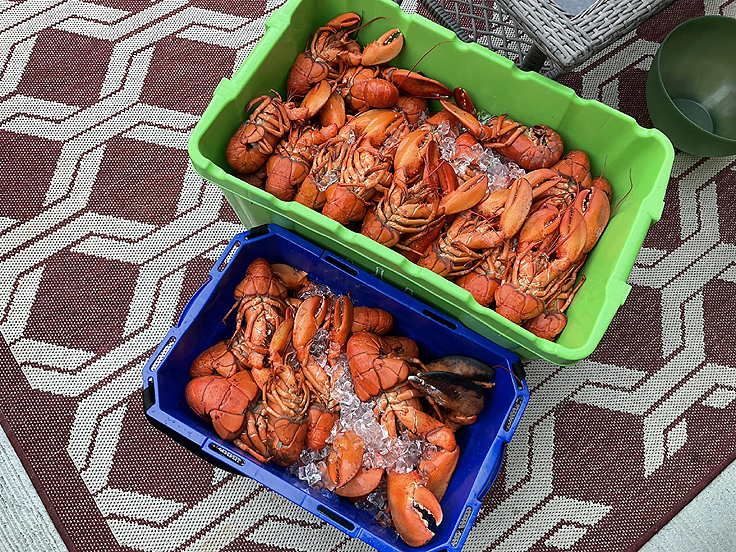 Recette de Homard Gelé