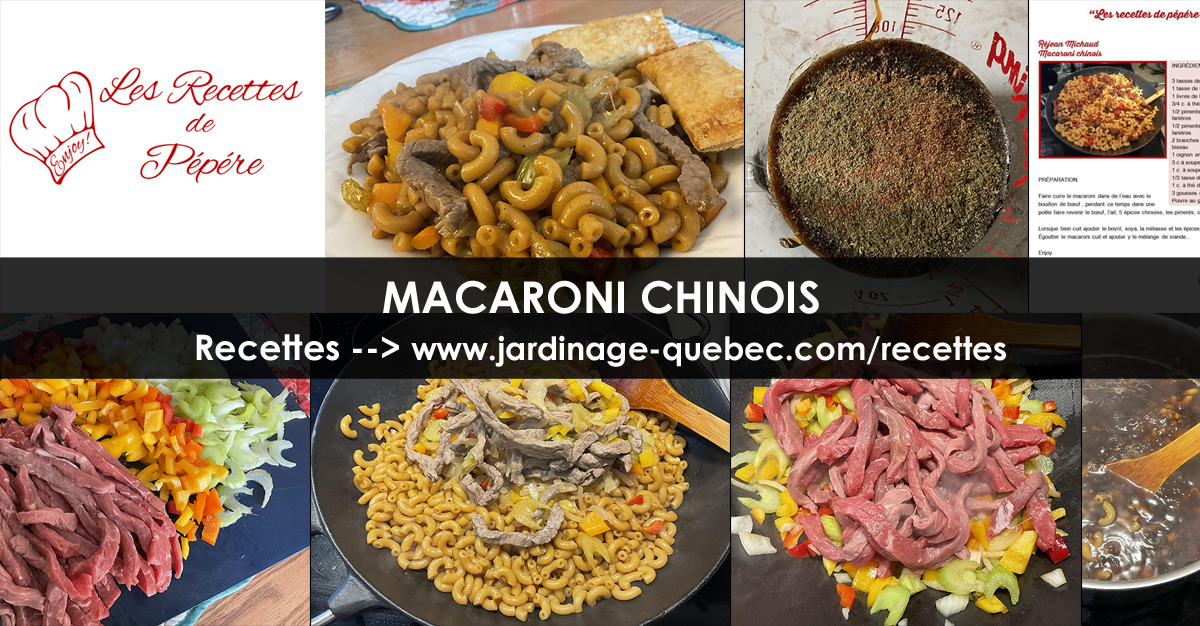 Macaroni chinois