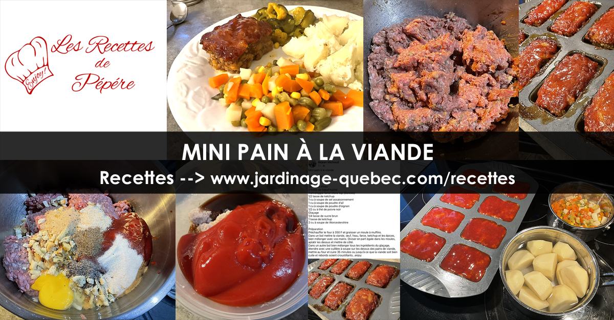 Minis pains à la viande