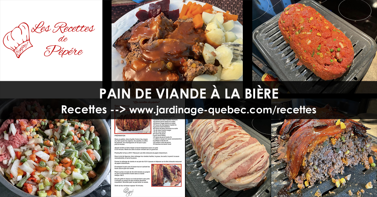 Pain de viande à la bière