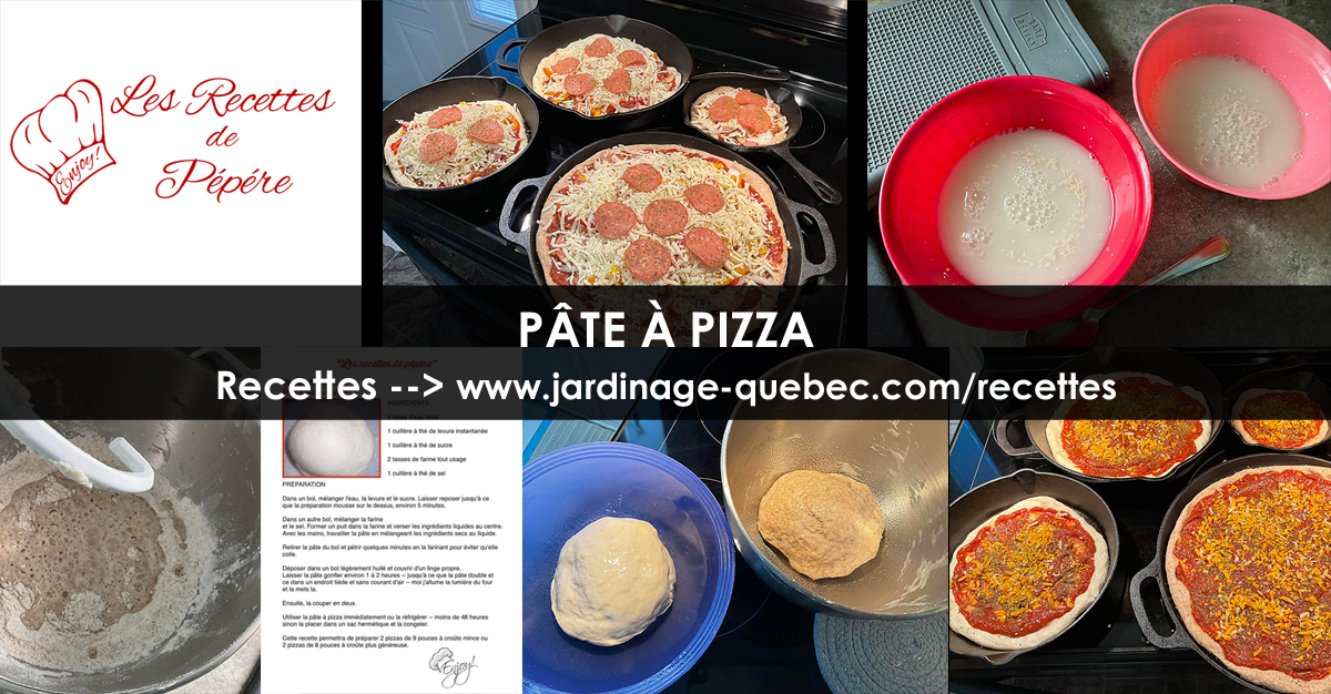 Pâte à pizza