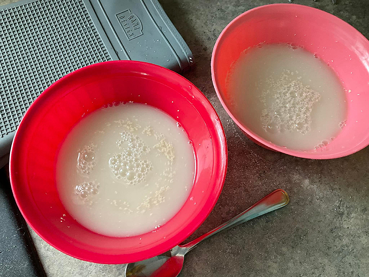 Recette de Pâte à pizza