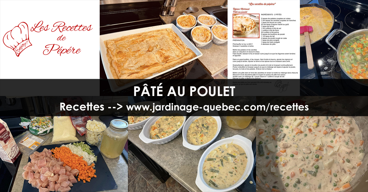 Pâté au poulet