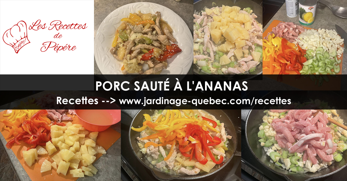 Porc sauté à l'ananas