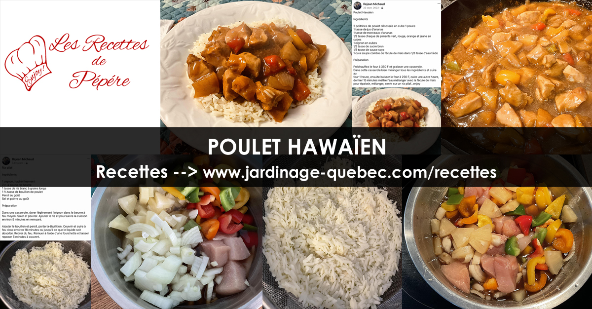 Poulet hawaïen