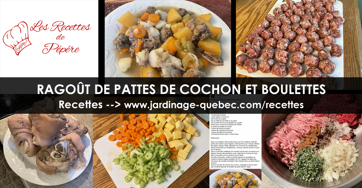 Ragoût de pattes de cochon et boulettes