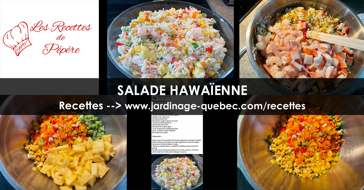 Salade Hawaïenne