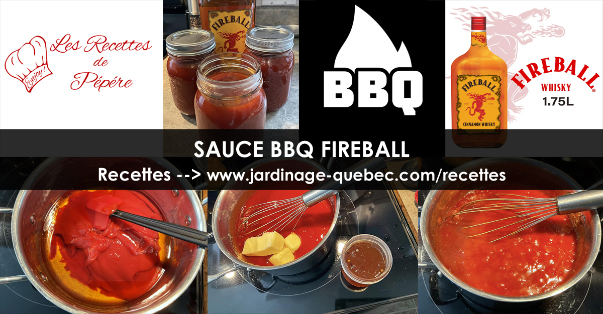 Recette de Sauce BBQ Fireball