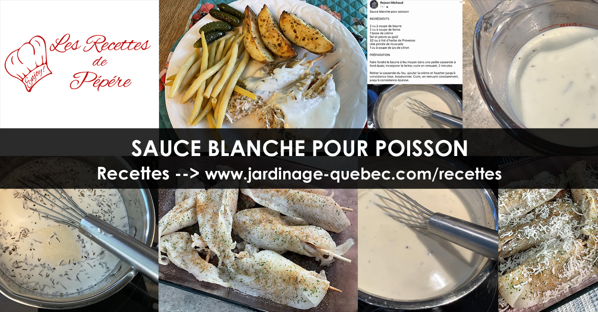 Recette de Sauce blanche pour poisson