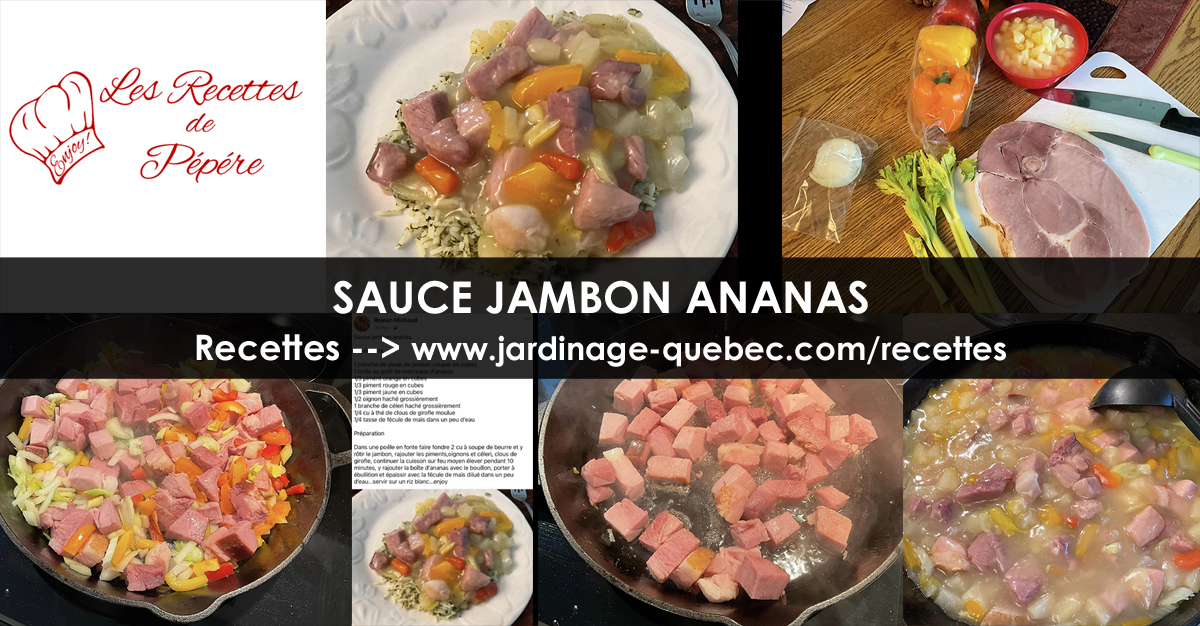 Sauce jambon ananas