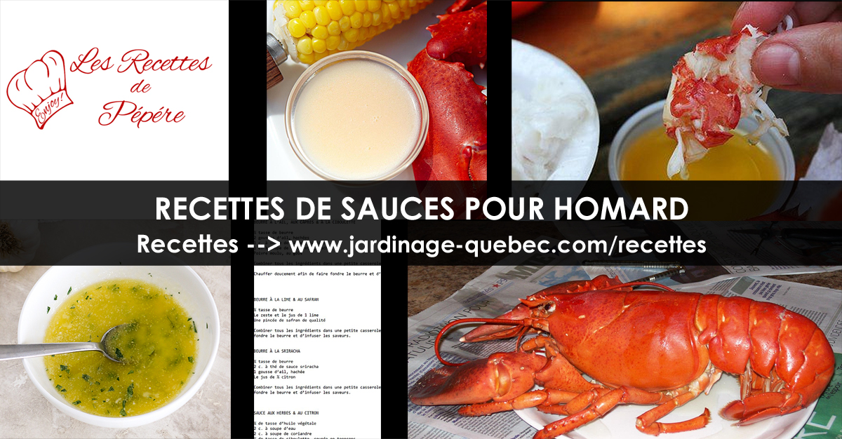 Recettes de Sauces pour Homard