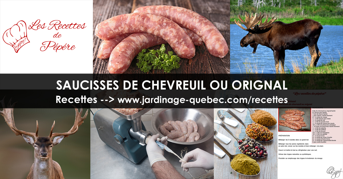 Saucisses de chevreuil ou d'orignal