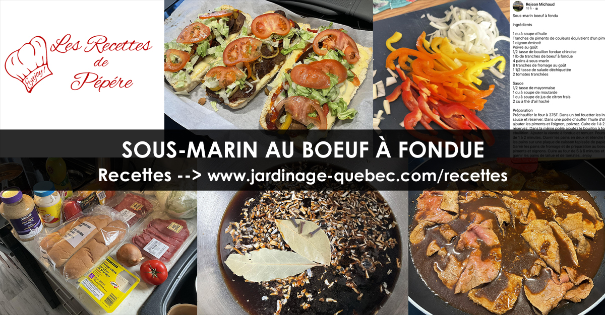 Sous-marin au bœuf de fondue
