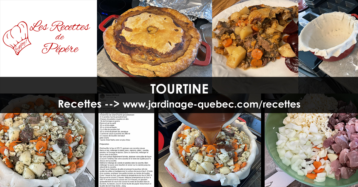 Tourtine