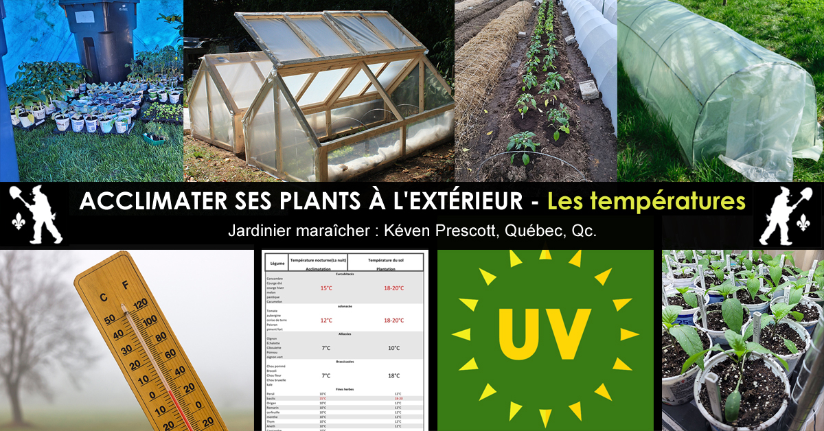 Acclimater les plantes ou semis aux conditions extérieures