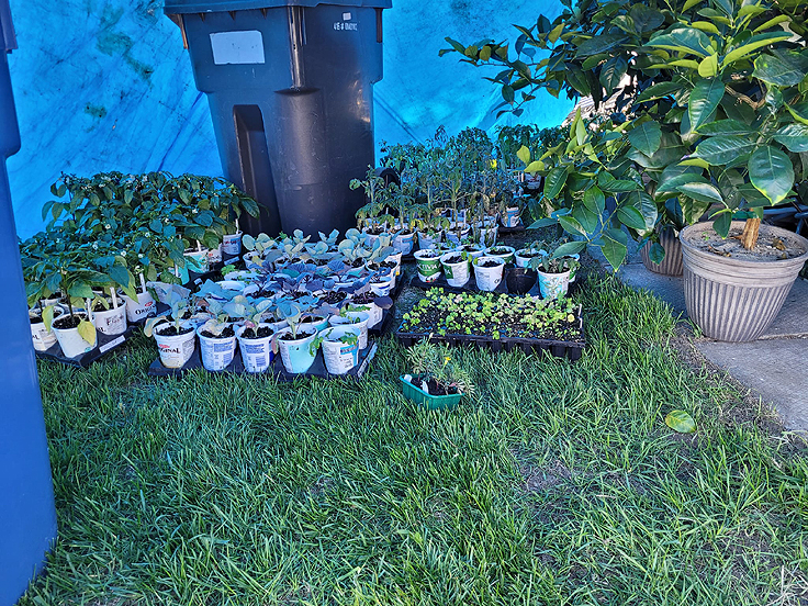 Bâche d'acclimatation