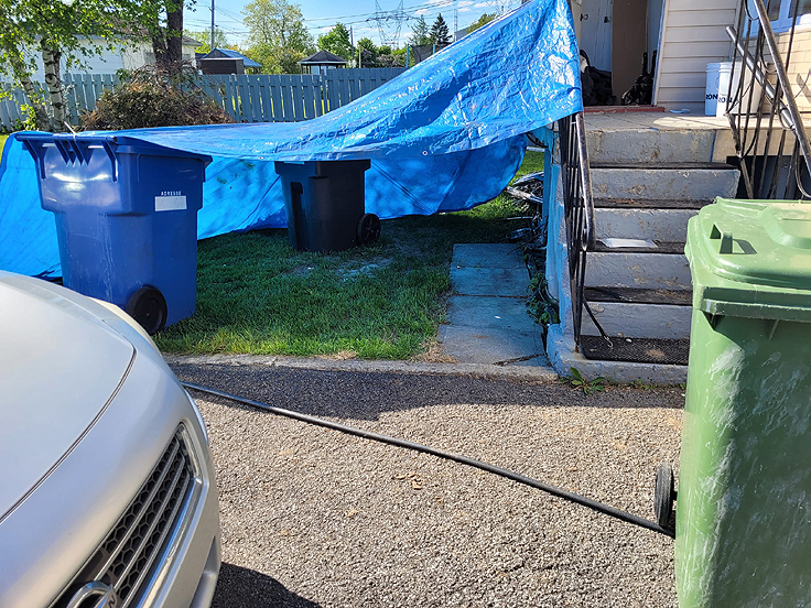 Acclimater ses plantes aux conditions extérieures