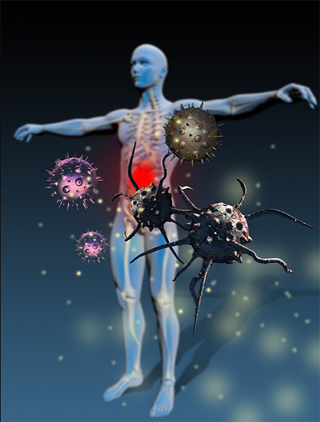 Le système immunitaire