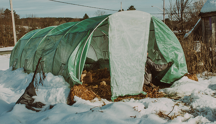 Serre de jardin en hiver