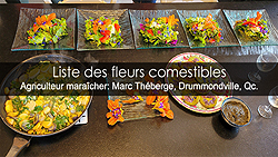 Fleurs comestibles