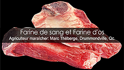 Farine de Sang et Farine d'Os - Deux types d'engrais organiques