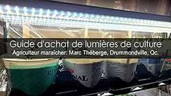 Lumières de culture - Conseils d'achat