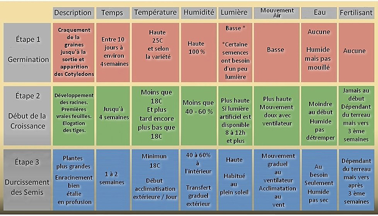 Germination des semences