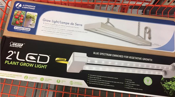 Lumière pour la germination des graines