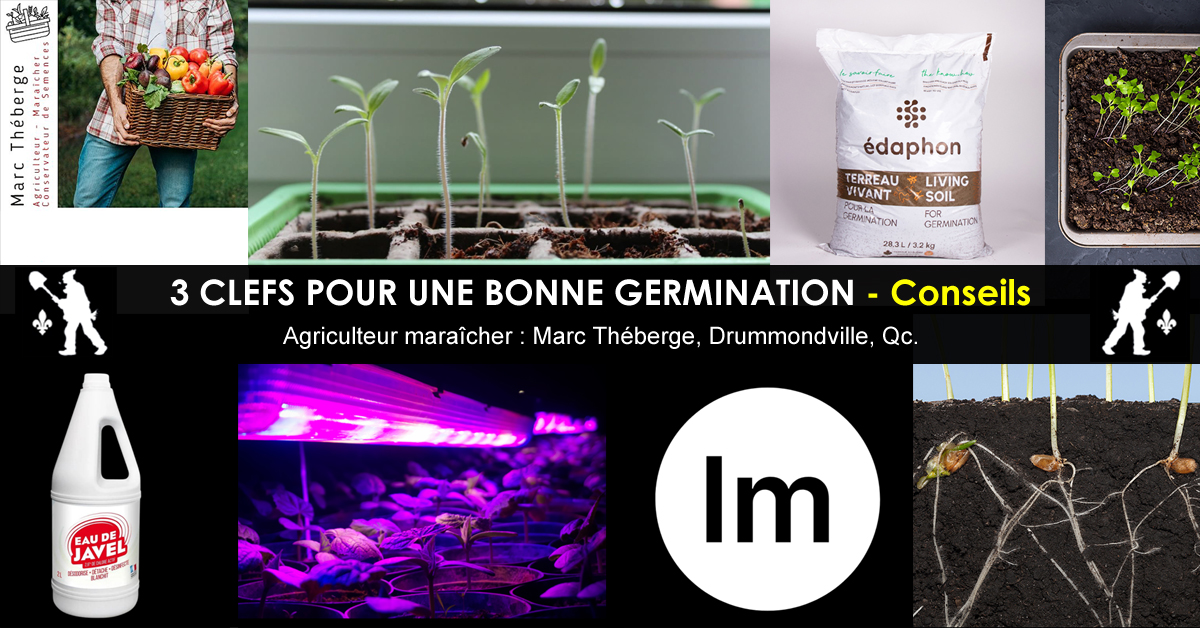 germination des semences