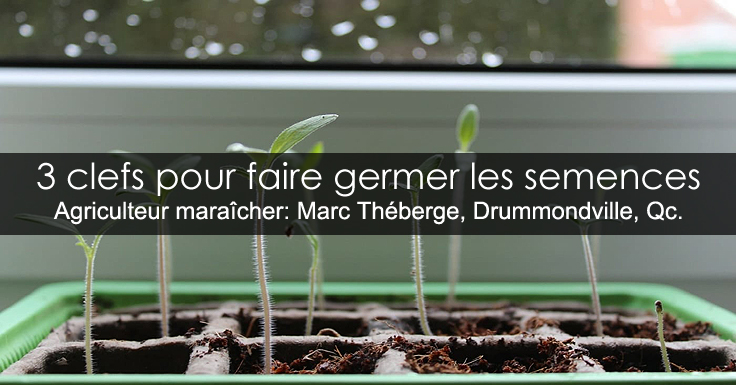 Germination des semences